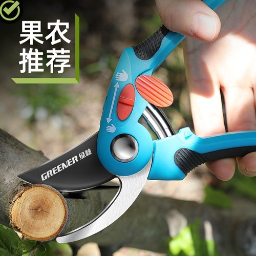 绿林修枝剪果树剪园艺剪树枝专用剪刀修剪花剪园林花卉花艺省力剪