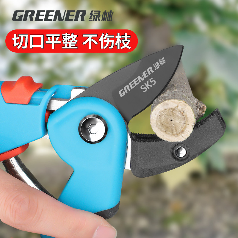绿林强力粗枝剪果树修枝剪剪树枝专用剪刀园艺剪省力花卉专用剪子