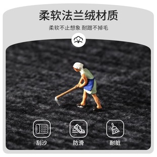 地垫入户门垫门口进门现代简约防滑垫大面积全铺家用垫子玄关脚垫
