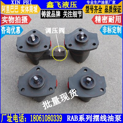 RAB-10A摆线油泵RAB-11A齿轮油泵RAB-12A RAB-13A三角泵浦CYP