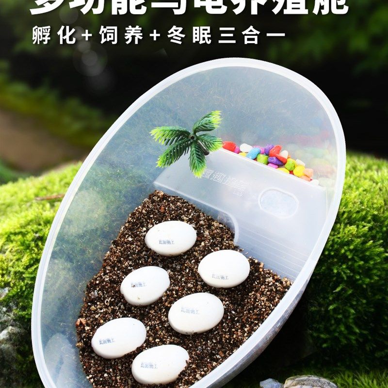 可整套DIY孵化乌龟蛋受精套装草龟巴西龟孵化器水龟儿童节礼物,金属材料及制品,金属丝/绳/缆,淘宝优惠券,粉丝福利购,淘宝优惠卷