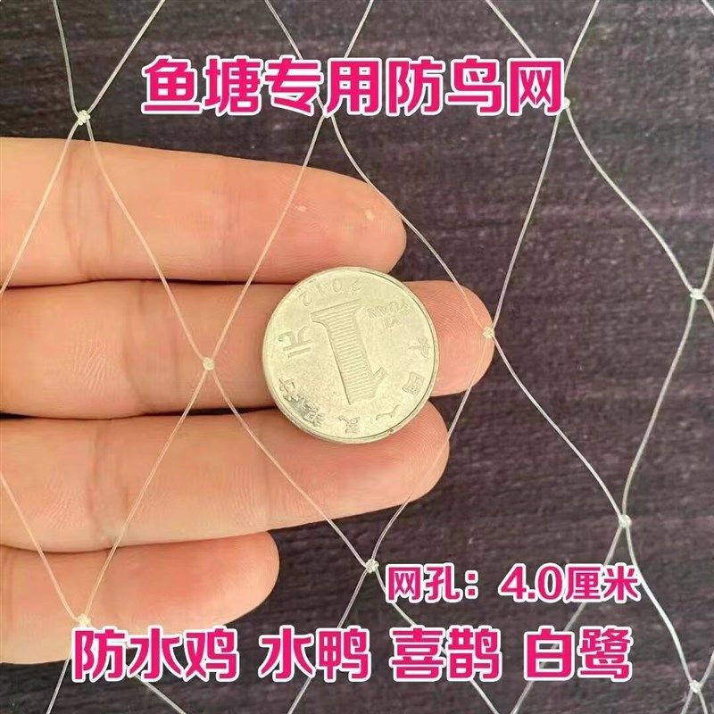鱼塘用尼龙防鸟网公分公分网孔防大鸟天网青蛙泥鳅龙虾用网,农机/农具/农膜,农用防鸟网,淘宝优惠券,粉丝福利购,淘宝优惠卷
