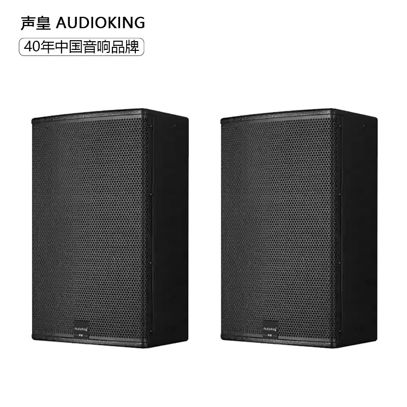 声皇AudioKing CK10专业音箱家庭KTV酒吧清吧舞台10寸音箱一对
