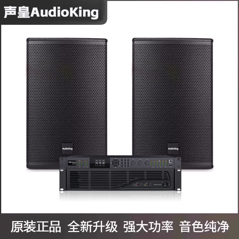 声皇AudioKing AK12一拖二 30-200平米 专业KTV包房酒吧音响套装