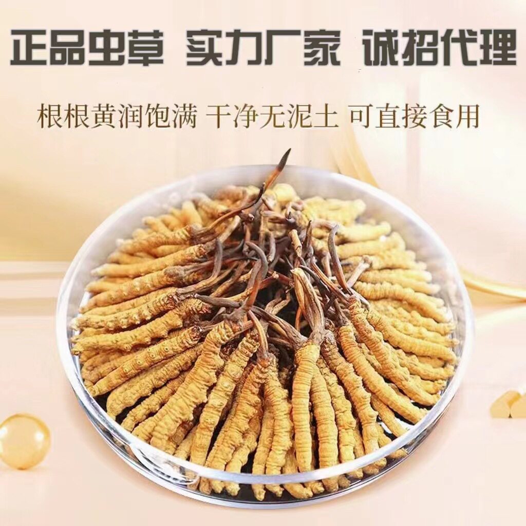 冬虫夏草官方旗舰店干虫草断头西藏那曲正品高海拔整草纯肉节断草