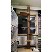 顶天立地猫爬架通天柱实木小户型太空舱猫咪攀爬架一体多功能