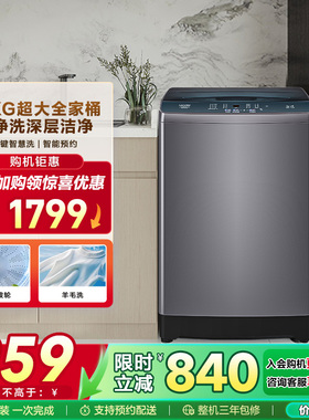 [超净洗]海尔Leader统帅12kg大容量家用全自动租房波轮洗衣机369