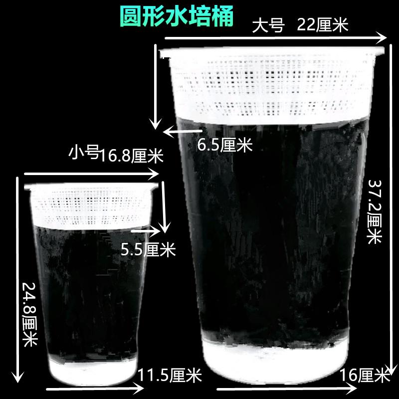 透明水培箱无土栽培种植盆观察植物根部生长鱼菜共生鱼缸猫草种植