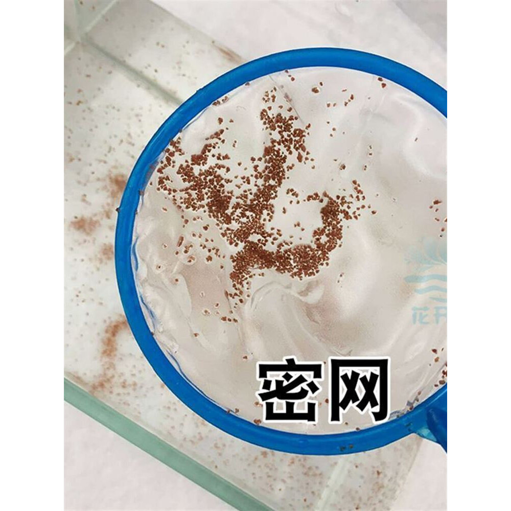 鱼缸捞粪网高密度纱网兜鱼苗丰年虾卵水蚤鱼龟粪便细眼网孔鱼捞网