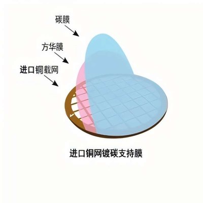 TEM电镜专用50至400目进口铜网普通碳膜 透射电镜载网支持膜现货