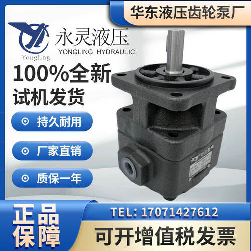 永灵叶片泵YB1-2.5/4/6.3/10/12/16/20/25/32/40/50 80 100 125
