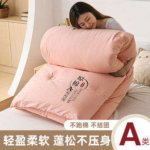可机洗 薄被子非全棉夏被单人宿舍学生新款 新款 夏凉被空调被夏季