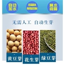 全数控豆芽机 山东豆芽机厂家 可定制豆芽机 仿手工豆芽机器 价格