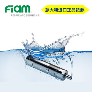 进口FIAM食品级不锈钢IP67防水认证齿轮气动马达耐腐蚀防粉尘防潮