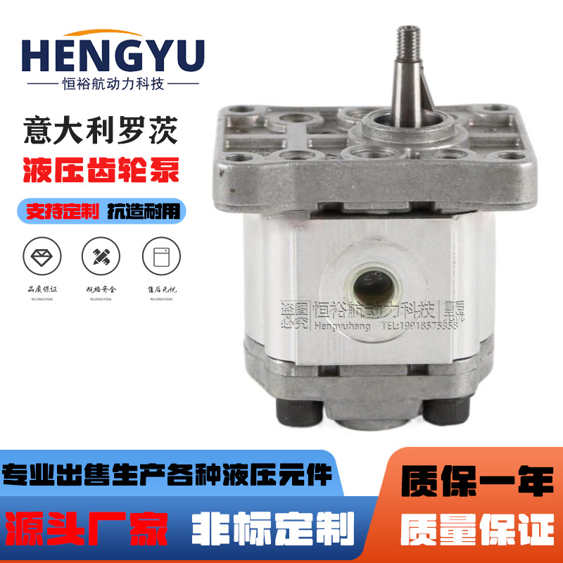 罗茨液压泵RONZIO齿轮泵01ZAG11C442D 01ZCG42N600DN 01ZBG11C130