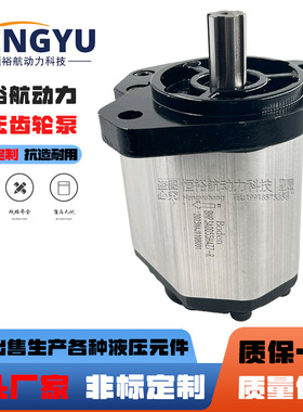 博顿高压油泵Boden齿轮泵BHP3A0D55H4Z7-R BHPA0D32C1L1 液压泵