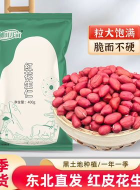 东北红衣生花生米400g黑龙江四粒红花生仁新鲜红皮不带壳生的新