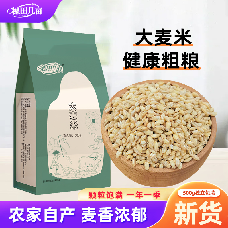 东北大麦米2024年新米香糯五谷杂粮脱壳生麦粒纯新米去皮麦子5斤