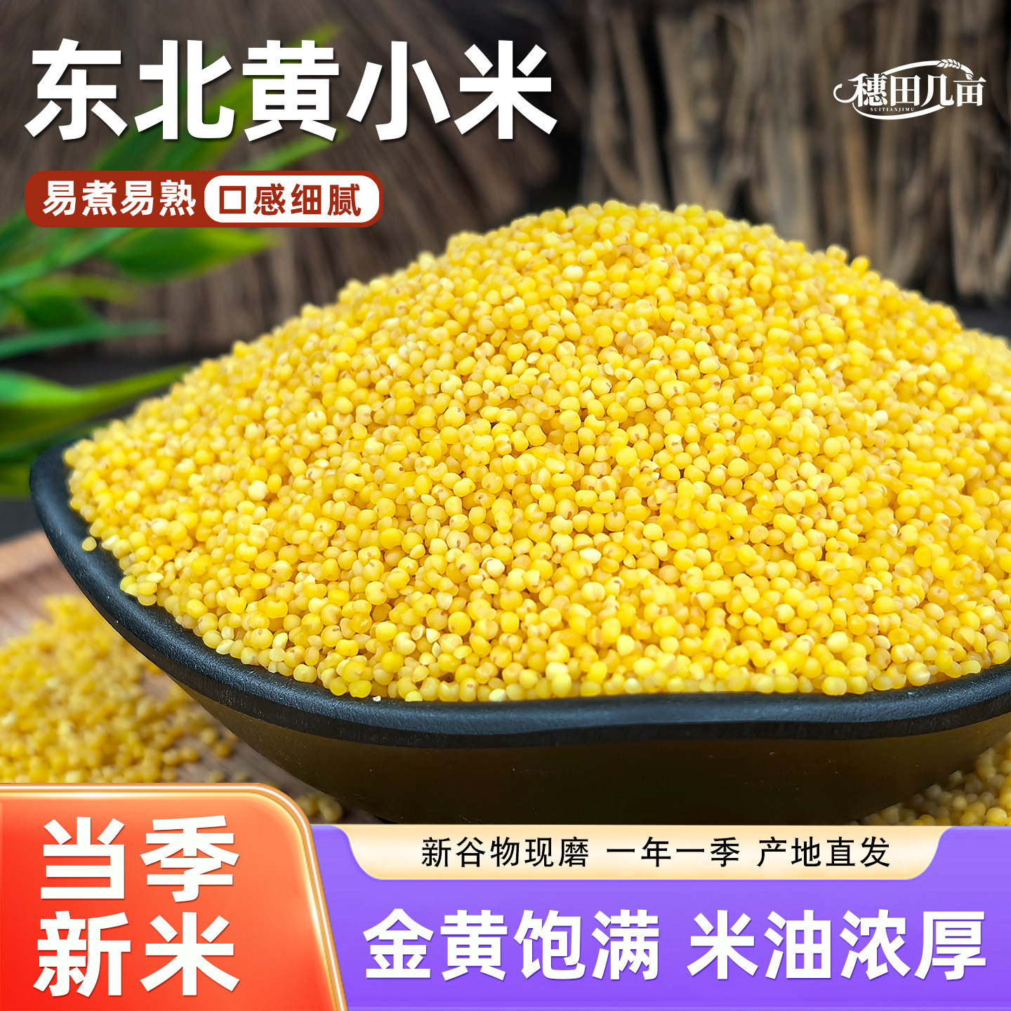 黄小米5斤新米农家自产金谷小黄米小米粥黄米粥食糯五谷杂粮粗粮图片