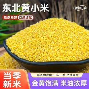 黄小米5斤新米农家自产金谷小黄米小米粥黄米粥食糯五谷杂粮粗粮