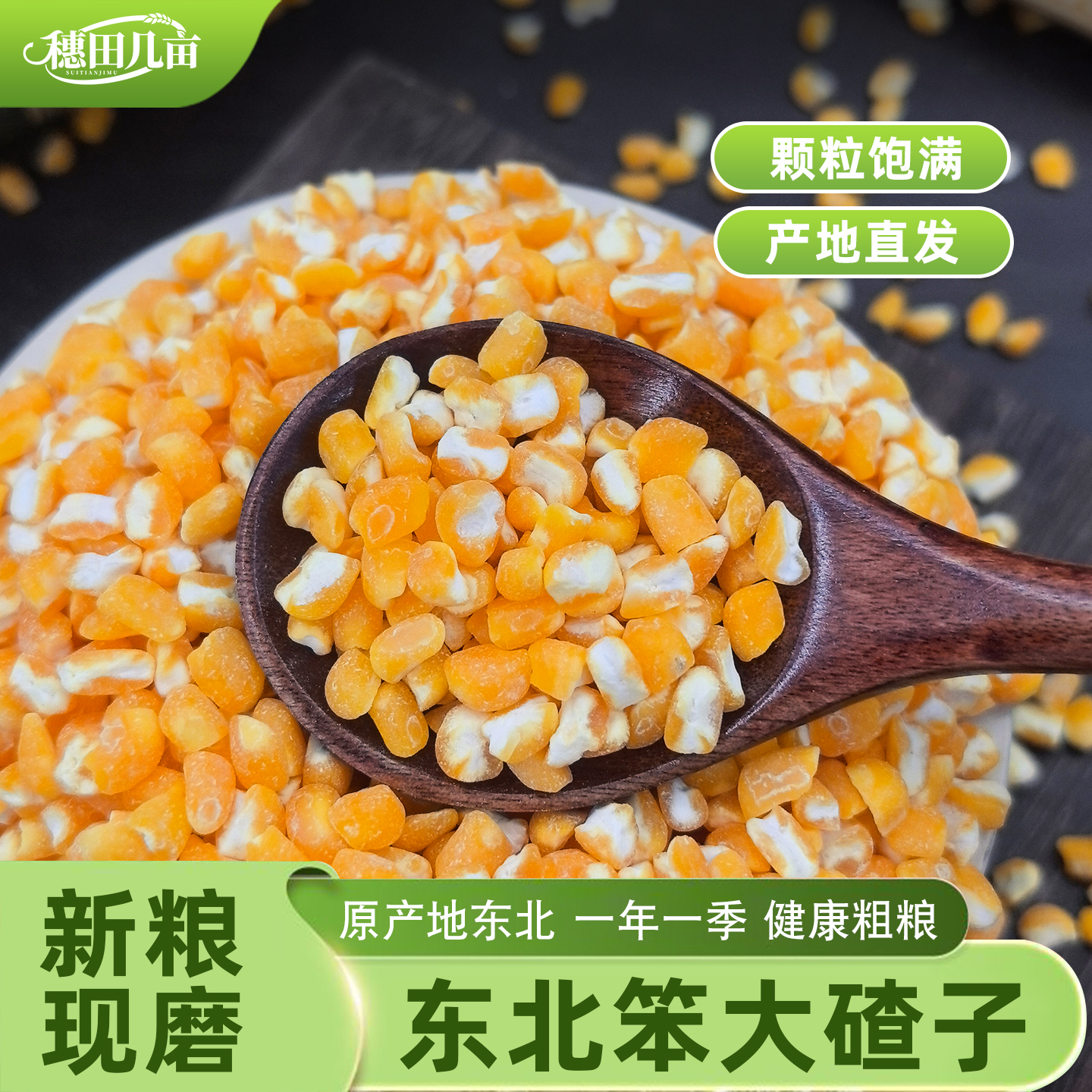东北笨碴子新货五谷杂粮笨大碴子玉米粒2025年新粮