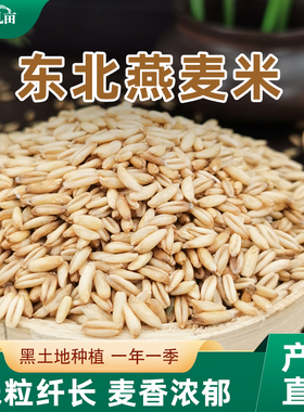5斤燕麦米新米燕麦仁糙米代餐胚芽米燕麦粒东北五谷杂粮粗粮商用