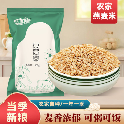 新货燕麦米农家自种今年燕麦片燕麦仁全胚芽五谷杂粮营养健康早餐