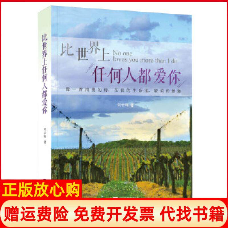 【正版书】比世界上任何人都爱你刘云晖华文出版社9787507546286