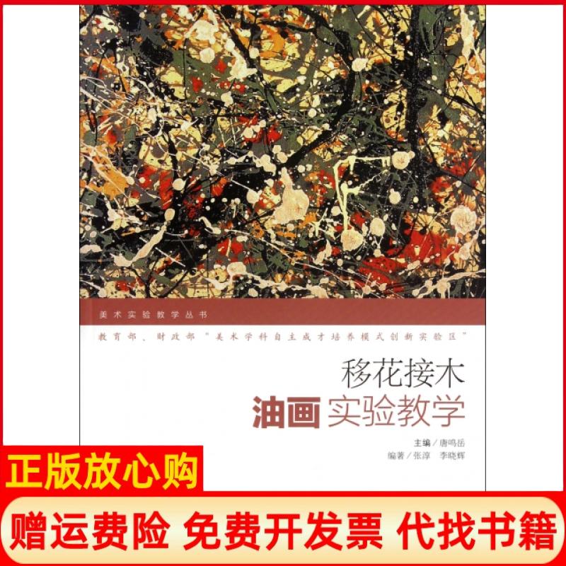 【正版书籍】美术实验教学丛书移花接木油画实验教学张淳著李晓辉著唐鸣岳 人民美术出版社9787102054193