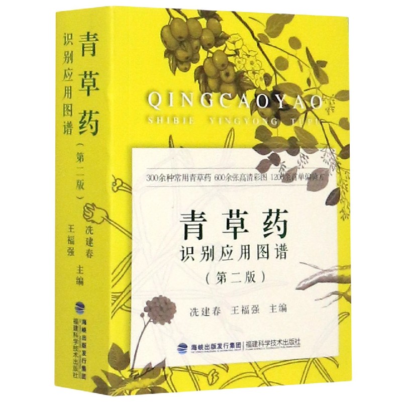 正版书青草药识别应用图谱(第2版)编者:冼建春//王福强|责编:林栩福建科技