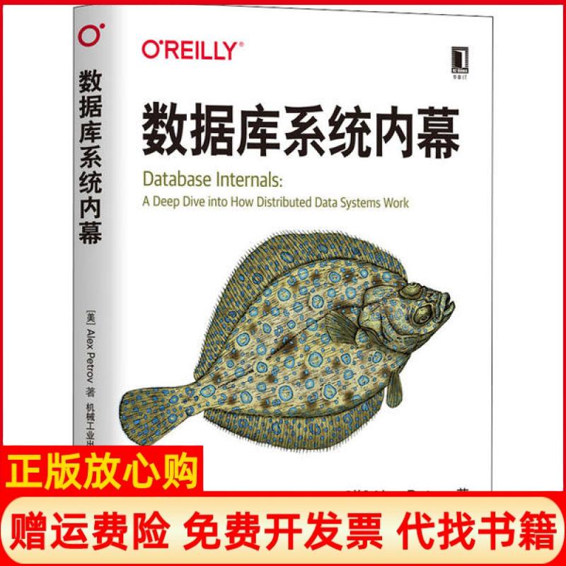 【正版书】数据库系统内幕美亚历克斯彼得罗夫AlexPetrov著机械工业出版社9787111655169