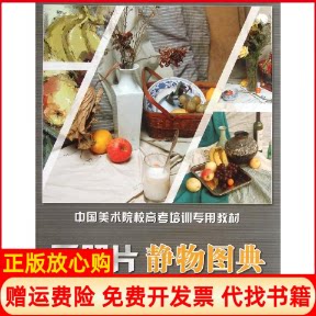 正版书】中国美术院校高考培训专用教材画照片静物图典赵锦杰作湖南美术出版社9787535653826