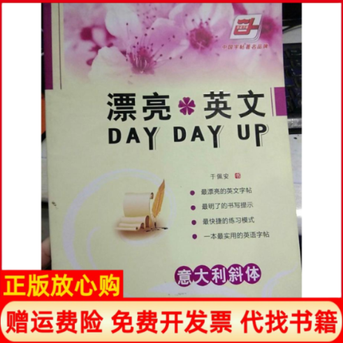【正版书】漂亮英文DAYDAYUP意大利斜体于佩安书人民美术出版社9787102050096