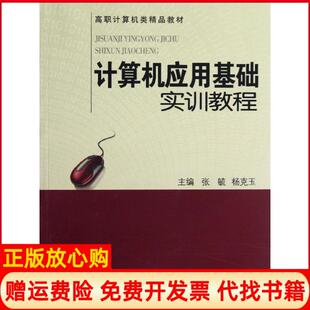 【正版书】计算机应用基础实训教程张毓杨克玉著中国科学技术大学出版社9787312030963