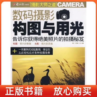 【正版书】数码摄影构图与用光墨叶王鹿童小灰电脑报电子音像出版社