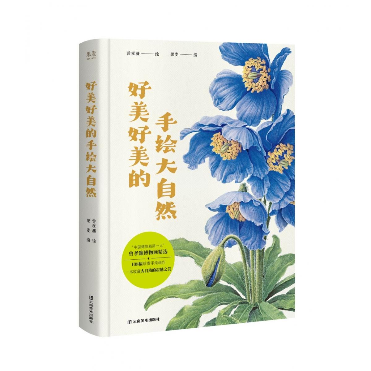 正版书好美好美的手绘大自然曾孝濂云南美术