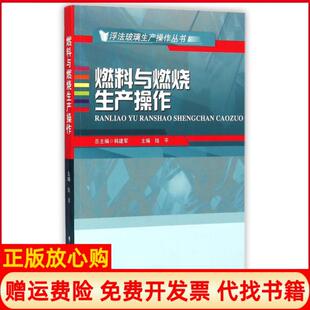 【正版书】燃料与燃烧生产操作浮法玻璃生产操作丛书陆平|总主编韩建军武汉理工9787562944713