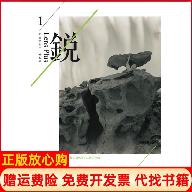 【正版书】纸上记录片锐系列我像一面旗帜被包围在辽阔的空间王刚 上海文化出版社9787553500959