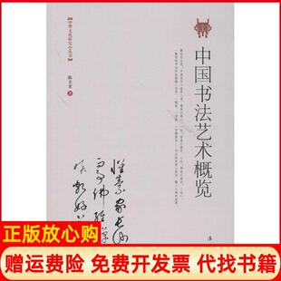 【正版书】中国书艺概览陈玉龙漓江出版社9787540768768