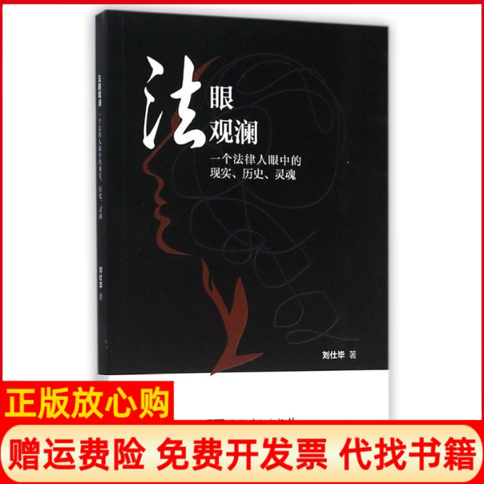 正版书】法眼观澜一个法律人眼中的现实历史灵魂刘仕著知识产权出版社9787513038324