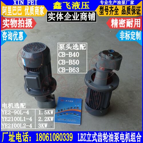 LBZ-40 LWBZ2-CB-B40齿轮油泵电机组 立式油泵装置 齿轮泵 液压泵