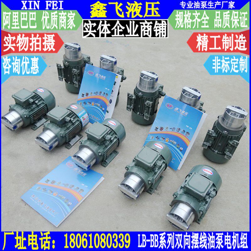 LB-BB6 LB-BB4 LB-BB10双向摆线齿轮油泵 减速机齿轮箱润滑泵