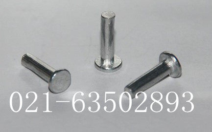 平头铆钉  平头铝铆钉 GB109  (M2  M 2.5)  60元1公斤 规格齐全