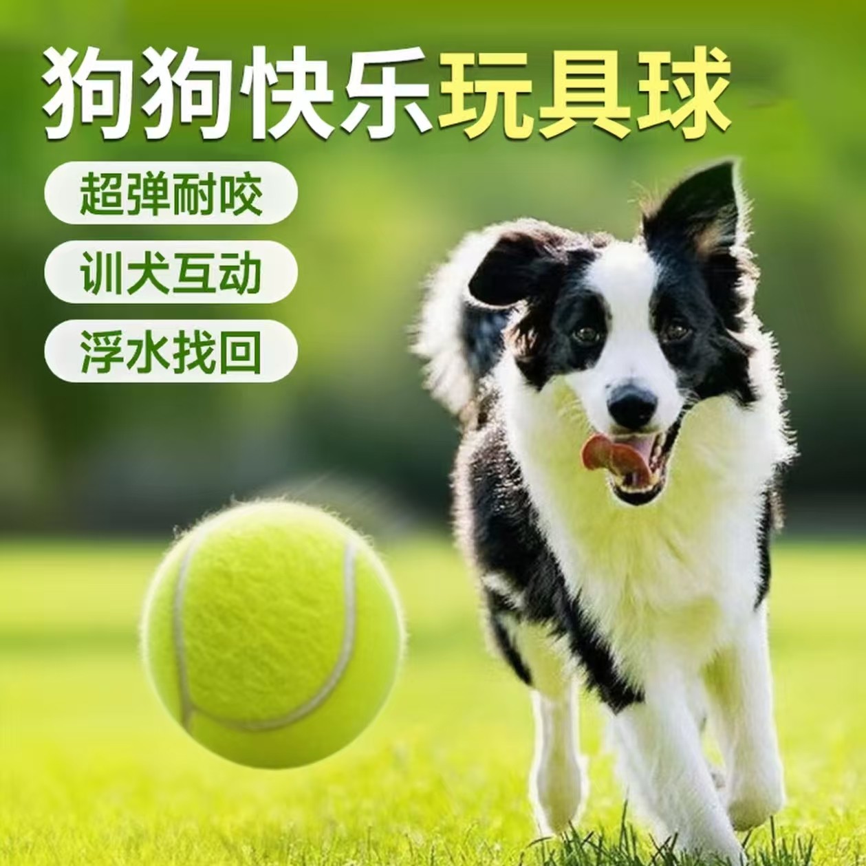 狗狗玩具球自嗨解闷神器宠物边牧金毛柯基耐咬球训练磨牙网球橡胶,宠物/宠物食品及用品,橡胶球/球形玩具,淘宝优惠券,粉丝福利购,淘宝优惠卷