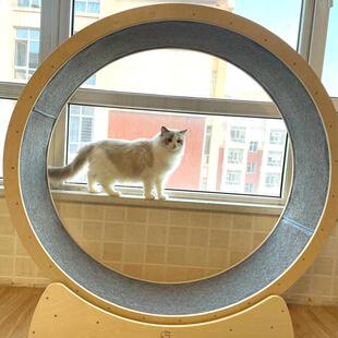 猫跑道垫静音耐抓猫咪跑步机垫子定制猫笼垫猫抓板垫彷剑麻茶几垫