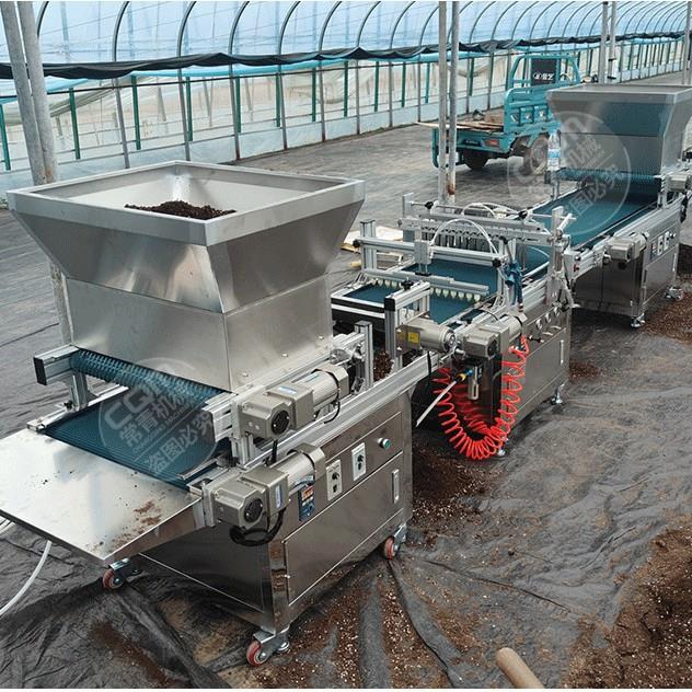 芹菜播种机器全自动穴盘育苗播种机电动蔬菜花卉烟草辣椒种子