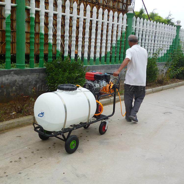 WZ-00型机动喷雾机车载式集装箱喷药机蔬菜花果植保打药机