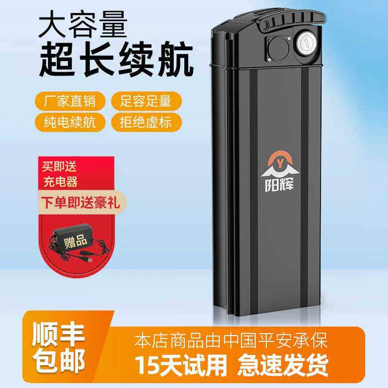 代驾折叠电动车锂电池48v新日名顶自行车单车通用可拆卸电瓶海霸