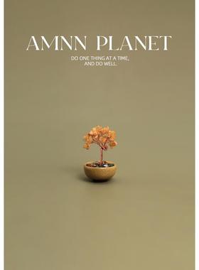 AMNN 天然黄水晶迷你发财树摆件玄关桌面办公室装饰乔迁小礼物