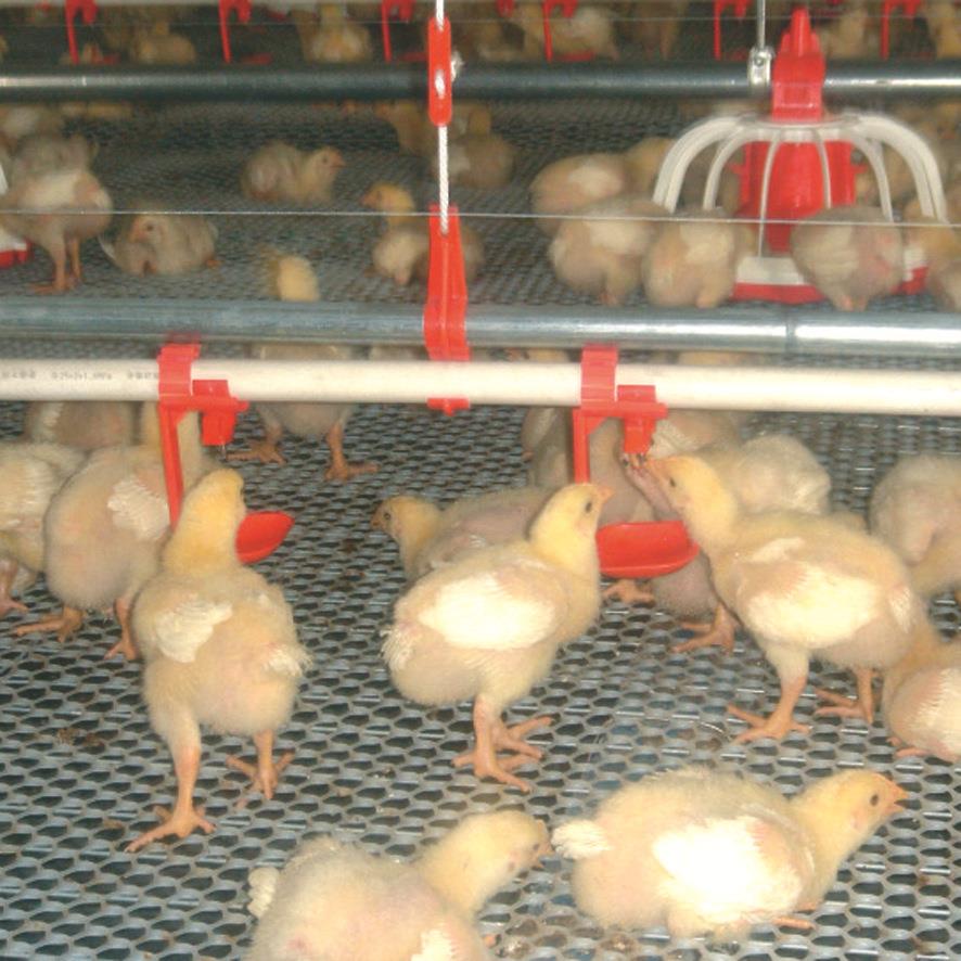 鸡用饮水系统水线平养水线饮水系统乳头绞盘过滤器水管厂家直供